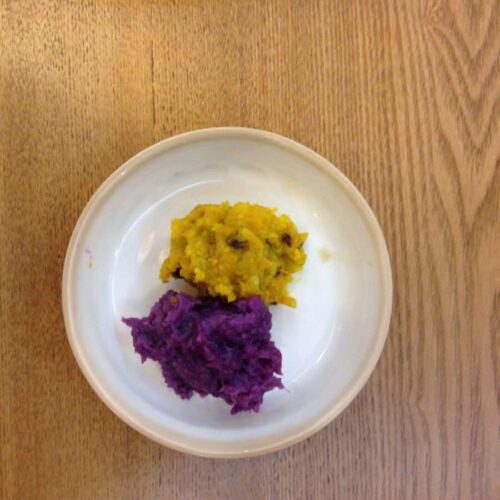 참복활어 복어회 필렛